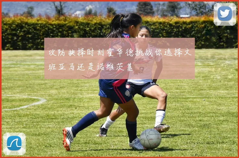 攻防抉择时刻霍华德挑战你选择文班亚马还是诺维茨基